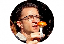 Marcelo Sulzbacher